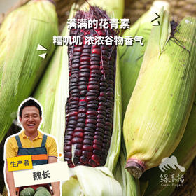 生态红甜糯玉米 | 合作生产*Ecological Red Sweet and Starchy Corn| Partner Production