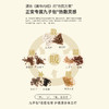正安 温暖三阴交穴 脚踝温敷 关节保暖 秋冬防护热敷贴 4小时平均发热保暖防寒呵护腿部 九子包暖踝贴 10袋/盒 商品缩略图2