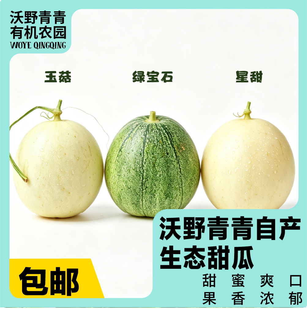 沃野青青自产甜瓜  绿宝石/星甜24/玉菇 | 清香型甜，满屋瓜香，可以带皮吃的甜瓜