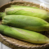 生态红甜糯玉米 | 合作生产*Ecological Red Sweet and Starchy Corn| Partner Production 商品缩略图3