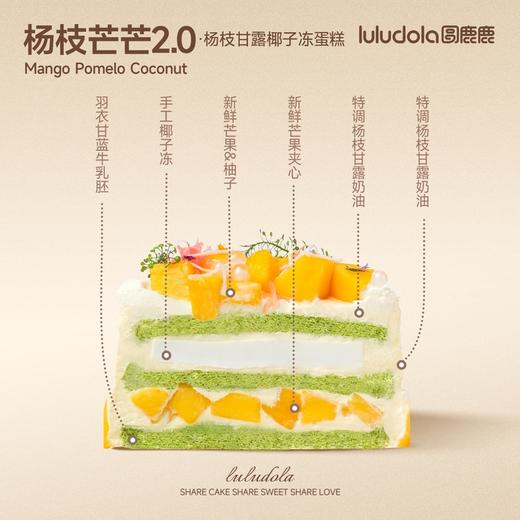 杨枝芒芒2.0 商品图1