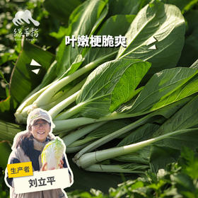 生态小白菜 | 绿家自产* ecological small Chinese cabbage | Self-production