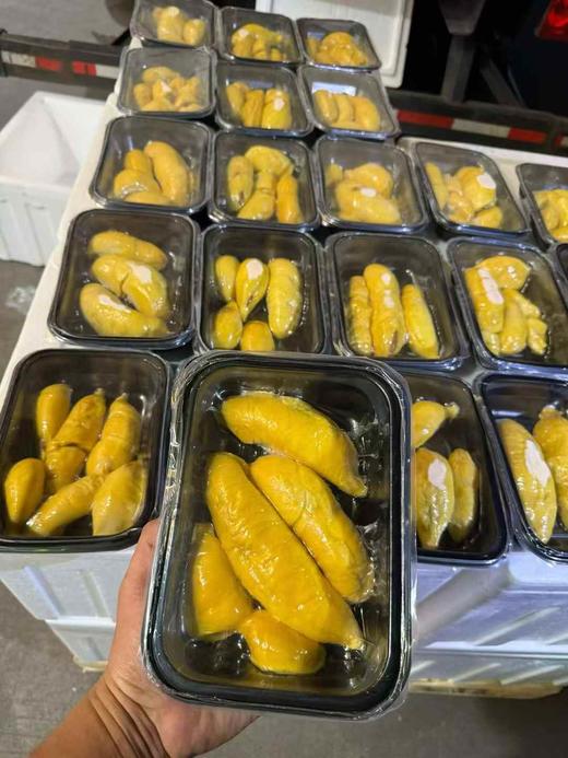 马来西亚猫山王榴莲鲜果包5房 商品图8