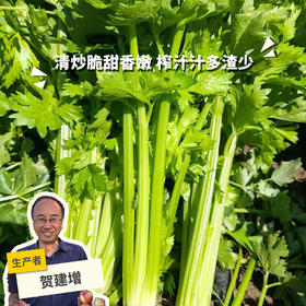 生态山西西芹| 合作生产 * Eco-celery | Partner Production