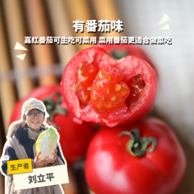 生态西红柿（口感番茄和菜用番茄 | 小规格1斤装） | 绿家自产*Ecological tomato | In-House Production