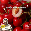 生态大连樱桃| 合作生产*  Ecological Dalian Cherries | Partner Production 商品缩略图0