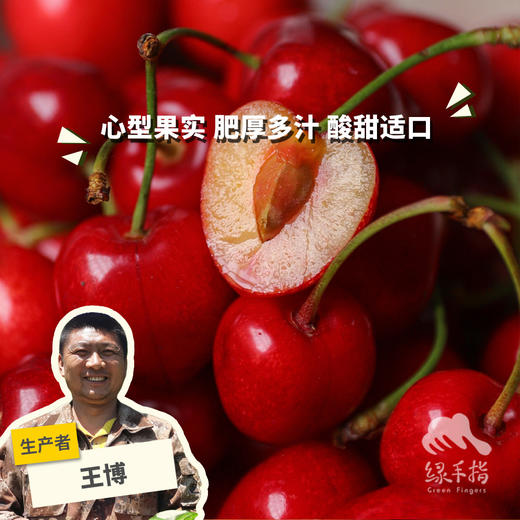 生态大连樱桃| 合作生产*  Ecological Dalian Cherries | Partner Production 商品图0