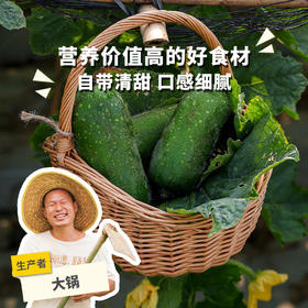 生态节瓜 | 绿家自产* Eco-chieh-qua | Self-production