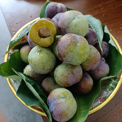 新鲜水果 酸甜可口 五月脆 李子  500g 商品图1