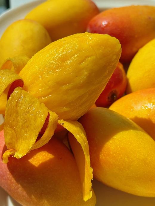 太阳蜜芒5斤特级礼盒装芒果 商品图0