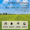 正安 河南焦作山药 霜降后采挖优质原材 肉质饱满纹理清晰颗粒状明显 脾胃虚弱温和养护 上班族茶饮家庭汤料日常食养 250g/罐 商品缩略图5