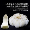 正安 湖南隆回龙牙百合 参考中国药典标准牙瓣大肉厚 优质原材 甘平下火降燥温养口感粉糯清甜 滋润秋冬煲汤食材家庭糖水百合地黄汤 特大片百合150g/罐 商品缩略图6