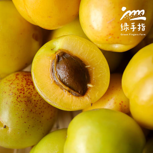 生态珍珠油杏| 合作生产 *Eco Pearl Apricot | Partner Production 商品图1