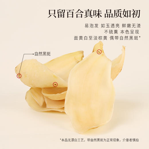 正安 湖南隆回龙牙百合 参考中国药典标准牙瓣大肉厚 优质原材 甘平下火降燥温养口感粉糯清甜 滋润秋冬煲汤食材家庭糖水百合地黄汤 特大片百合150g/罐 商品图9