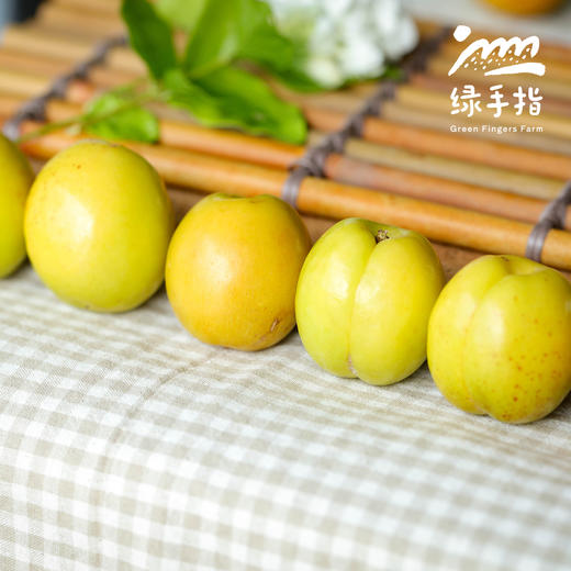 生态珍珠油杏| 合作生产 *Eco Pearl Apricot | Partner Production 商品图4