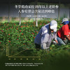 正安 加拿大进口西洋参 采挖4年老龄参低温烘干营养足 参味醇正优质原材 气盈清润小干人干驱走干燥内热 泡水煲汤商务长辈礼品 西洋参100g/罐 商品缩略图11