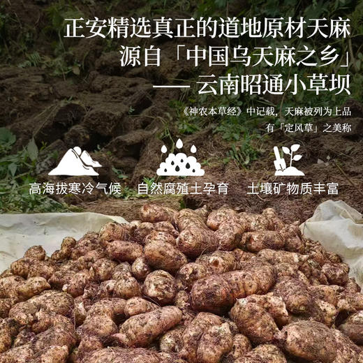 正安 云南昭通天麻 对补充脑子能量有益处 煲汤食材炖汤用料  精选优质原材 乌天麻中心切片 色泽自然胶质通透 130g/罐【有效期到2027年1月27日】 商品图6