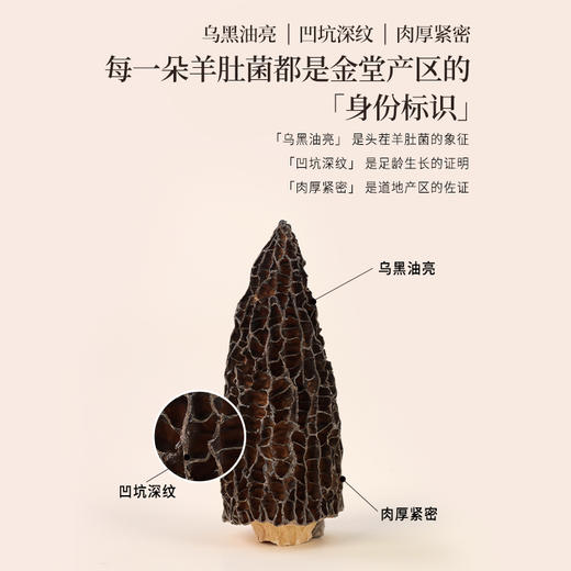 正安 四川羊肚菌 头茬鲜货手工剪柄 乌黑油亮凹坑深纹 肉厚紧实 补充营养缓解疲劳 家庭煲汤好料 40g/罐 商品图3