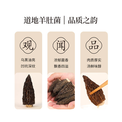 正安 四川羊肚菌 头茬鲜货手工剪柄 乌黑油亮凹坑深纹 肉厚紧实 补充营养缓解疲劳 家庭煲汤好料 40g/罐 商品图10