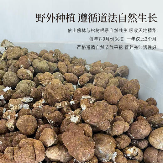 正安 云南普洱茯苓 赶跑湿气 煲汤煮茶 家庭汤料常备 夏季采挖优质原材 颗粒饱满均匀切丁 原味清香口感软糯 300g/罐 商品图8
