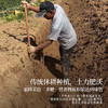 正安 河南焦作山药 霜降后采挖优质原材 肉质饱满纹理清晰颗粒状明显 脾胃虚弱温和养护 上班族茶饮家庭汤料日常食养 250g/罐 商品缩略图7