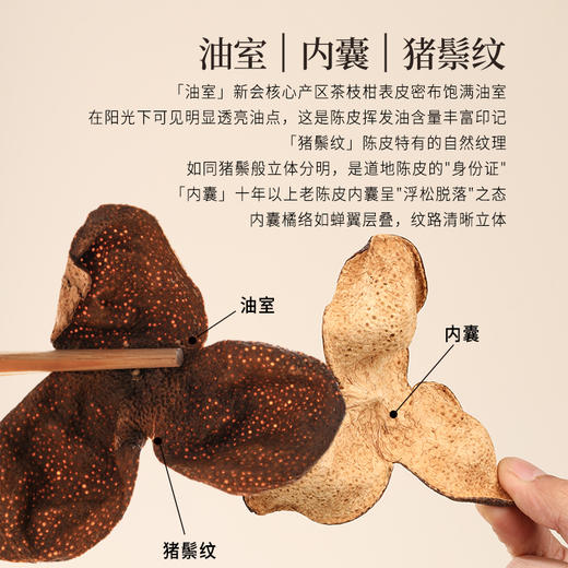 正安 15年陈皮  自然生晒干仓足陈温润甘醇 泡茶煲汤食材茶饮送礼送长辈收藏 脾胃湿气优质原材  陈皮50g/盒 商品图5
