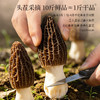 正安 四川羊肚菌 头茬鲜货手工剪柄 乌黑油亮凹坑深纹 肉厚紧实 补充营养缓解疲劳 家庭煲汤好料 40g/罐 商品缩略图8