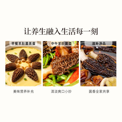 正安 四川羊肚菌 头茬鲜货手工剪柄 乌黑油亮凹坑深纹 肉厚紧实 补充营养缓解疲劳 家庭煲汤好料 40g/罐 商品图12