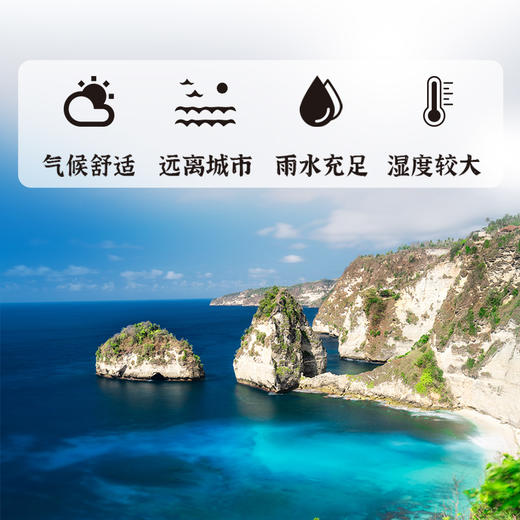 正安 可溯源精选燕窝 优质大密盏唾液酸含量高 优质原材 肺力滋润秋冬好物拒绝身体皮肤干燥 女性体弱者送礼优选 马来西亚/印度尼西亚进口燕窝【贵系原材不叠加其他活动】 商品图5