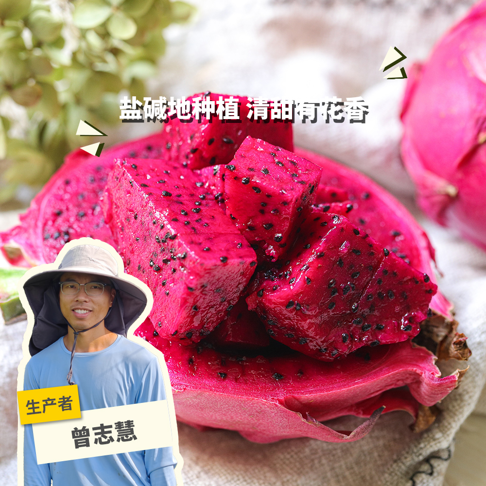 有机盐碱地火龙果（预售，6月13日起陆续发出） | 绿家自产 *Organic dragon fruit | In-House Production