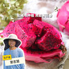 有机盐碱地火龙果（预售，6月13日起陆续发出） | 绿家自产 *Organic dragon fruit | In-House Production 商品缩略图0