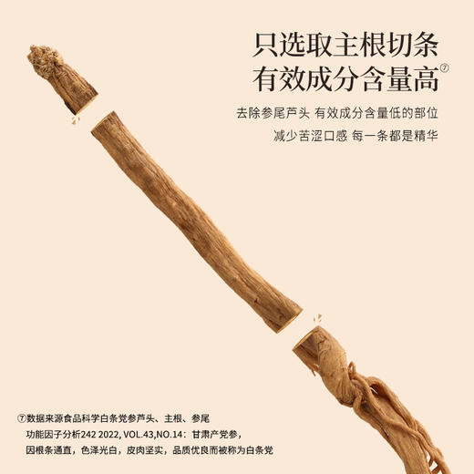 正安 甘肃岷县党参 三年秋季采挖优质原材 自然晾晒手选鲜切拒绝熏硫 倦怠血气口渴疲惫体弱月经 家庭汤料女性茶饮办公室 党参段250g/罐 商品图7