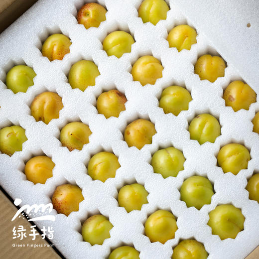 生态珍珠油杏| 合作生产 *Eco Pearl Apricot | Partner Production 商品图3