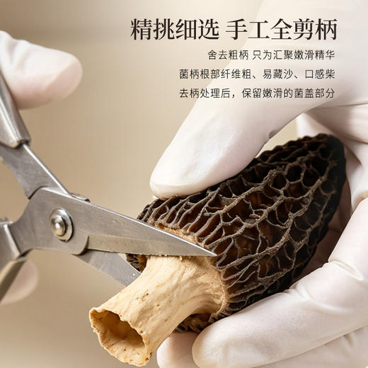 正安 四川羊肚菌 头茬鲜货手工剪柄 乌黑油亮凹坑深纹 肉厚紧实 补充营养缓解疲劳 家庭煲汤好料 40g/罐 商品图6