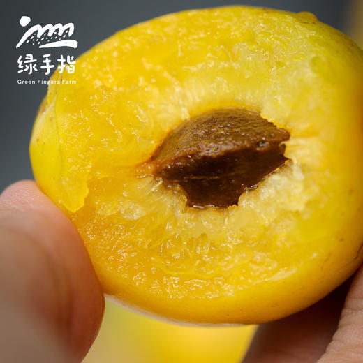 生态珍珠油杏| 合作生产 *Eco Pearl Apricot | Partner Production 商品图2