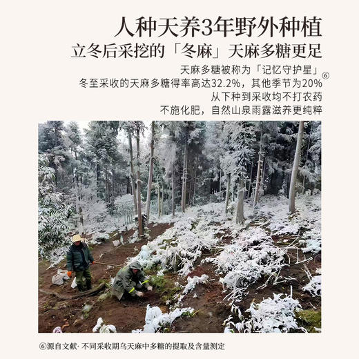 正安 云南昭通天麻 对补充脑子能量有益处 煲汤食材炖汤用料  精选优质原材 乌天麻中心切片 色泽自然胶质通透 130g/罐【有效期到2027年1月27日】 商品图8