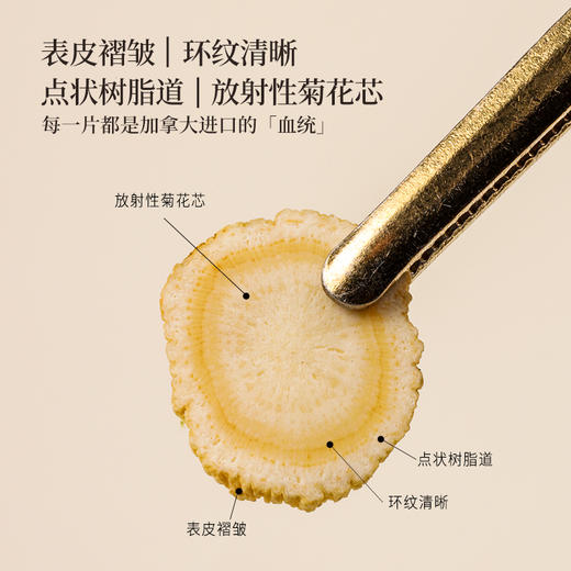 正安 加拿大进口西洋参 采挖4年老龄参低温烘干营养足 参味醇正优质原材 气盈清润小干人干驱走干燥内热 泡水煲汤商务长辈礼品 西洋参100g/罐 商品图8