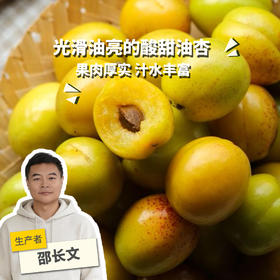 生态珍珠油杏| 合作生产 *Eco Pearl Apricot | Partner Production