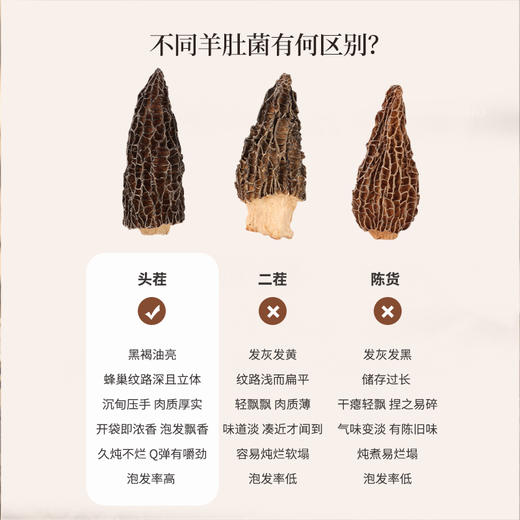 正安 四川羊肚菌 头茬鲜货手工剪柄 乌黑油亮凹坑深纹 肉厚紧实 补充营养缓解疲劳 家庭煲汤好料 40g/罐 商品图5