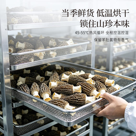 正安 四川羊肚菌 头茬鲜货手工剪柄 乌黑油亮凹坑深纹 肉厚紧实 补充营养缓解疲劳 家庭煲汤好料 40g/罐 商品图9
