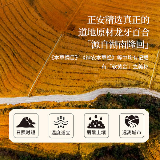 正安 湖南隆回龙牙百合 参考中国药典标准牙瓣大肉厚 优质原材 甘平下火降燥温养口感粉糯清甜 滋润秋冬煲汤食材家庭糖水百合地黄汤 特大片百合150g/罐 商品图5