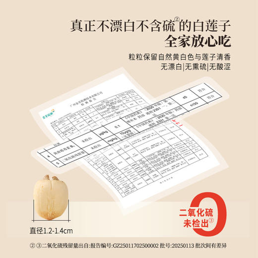 正安 湖南湘潭白莲子 农会金奖日晒低烘粒大饱满 优质原材 甘平下火降燥温养口感粉糯清甜 滋润秋冬煲汤食材家庭糖水四神汤 去芯莲子250g/罐 商品图3