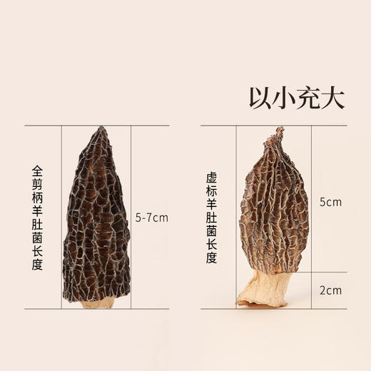 正安 四川羊肚菌 头茬鲜货手工剪柄 乌黑油亮凹坑深纹 肉厚紧实 补充营养缓解疲劳 家庭煲汤好料 40g/罐 商品图7