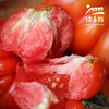 【限时9折】生态马蹄番茄（老品种西红柿） | 合作生产*Ecological beefsteak tomato| Partner Production 商品缩略图2