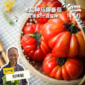 【限时9折】生态马蹄番茄（老品种西红柿） | 合作生产*Ecological beefsteak tomato| Partner Production