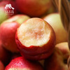 有机珍珠枣油桃 | 合作生产*Organic pearl jujube oil peach |  Partner Production 商品缩略图3
