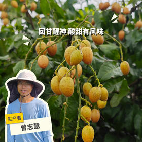 生态黄皮 | 绿家自产 *Eco-wampe | In-House Production