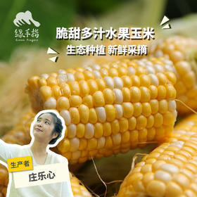 生态水果玉米（英德） | 合作生产*Eco-Corn  | Partner Production