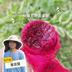 生态花皮火龙果 | 绿家自产 *  Organic saline-alkali land | Self-production