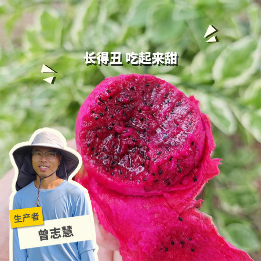 生态花皮火龙果 | 绿家自产 *  Organic saline-alkali land | Self-production 商品图0